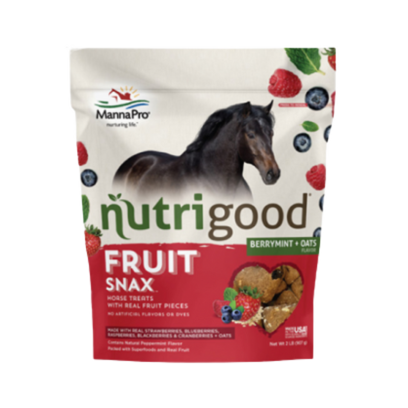 Manna Pro Nutrigood FruitSnax Berry Mint Horse Treats