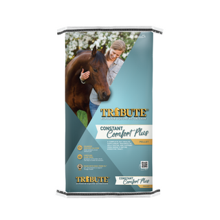 Tribute Constant Comfort Plus Supplement - Pittsboro Feed
