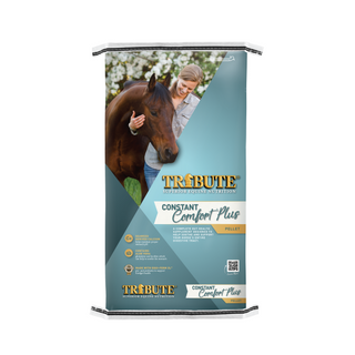 Tribute Constant Comfort Plus Supplement