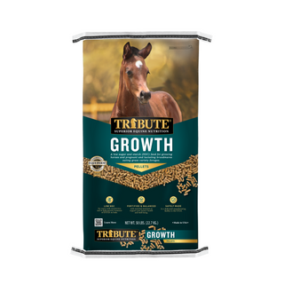 Tribute Growth Pelleted Horse Feed