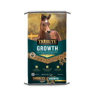 Tribute Growth Pelleted Horse Feed - Pittsboro Feed