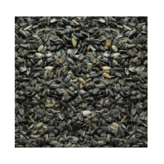 Striped Sunflower Seed