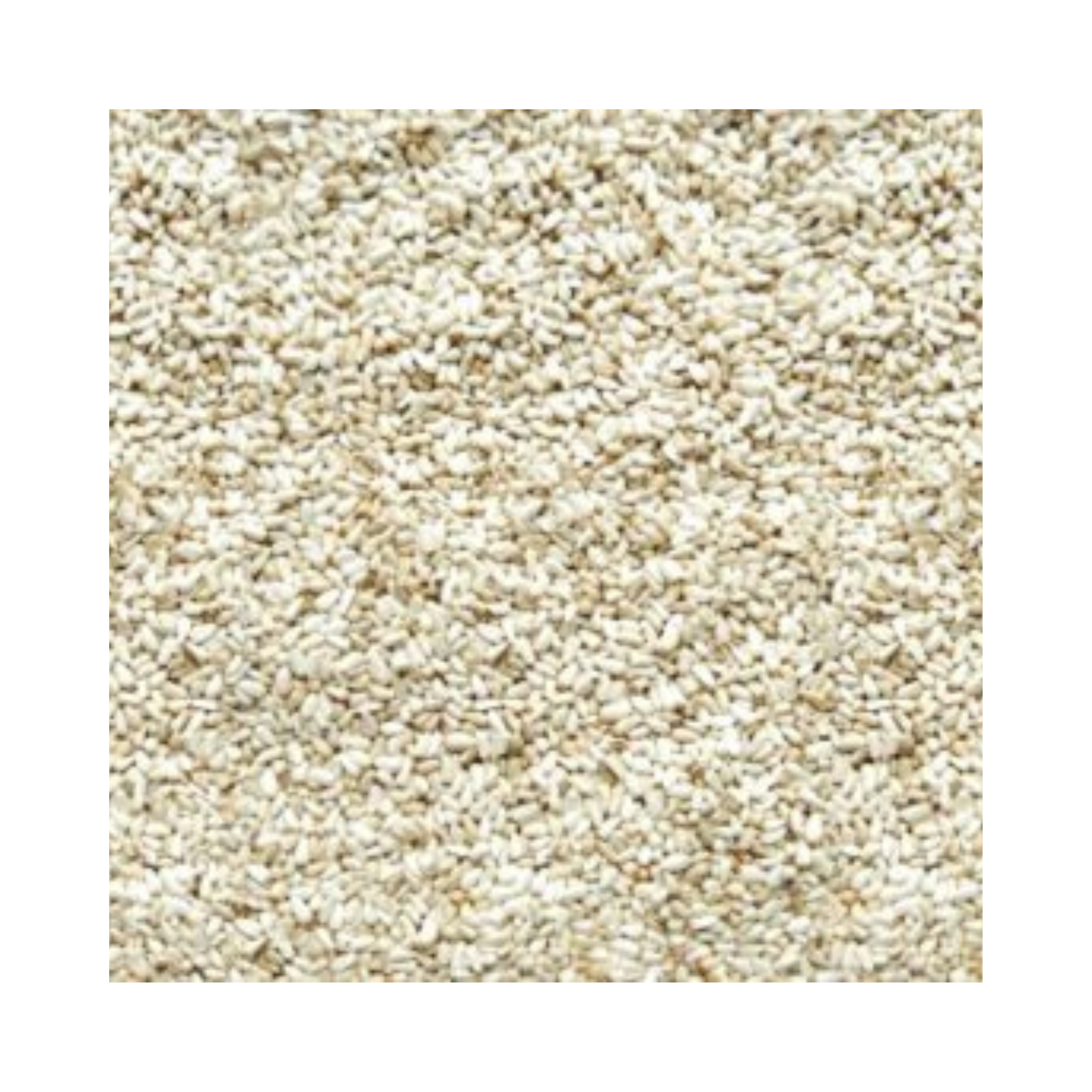 Safflower Bird Seed