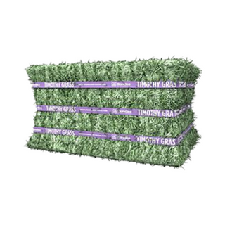 Standlee Premium Timothy Compressed Hay Bale