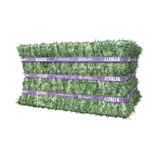 Standlee Premium Alfalfa Compressed Hay Bale