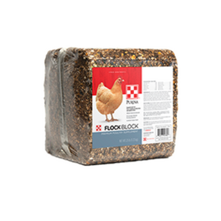Purina Flock Block Chicken Treats - Pittsboro Feed
