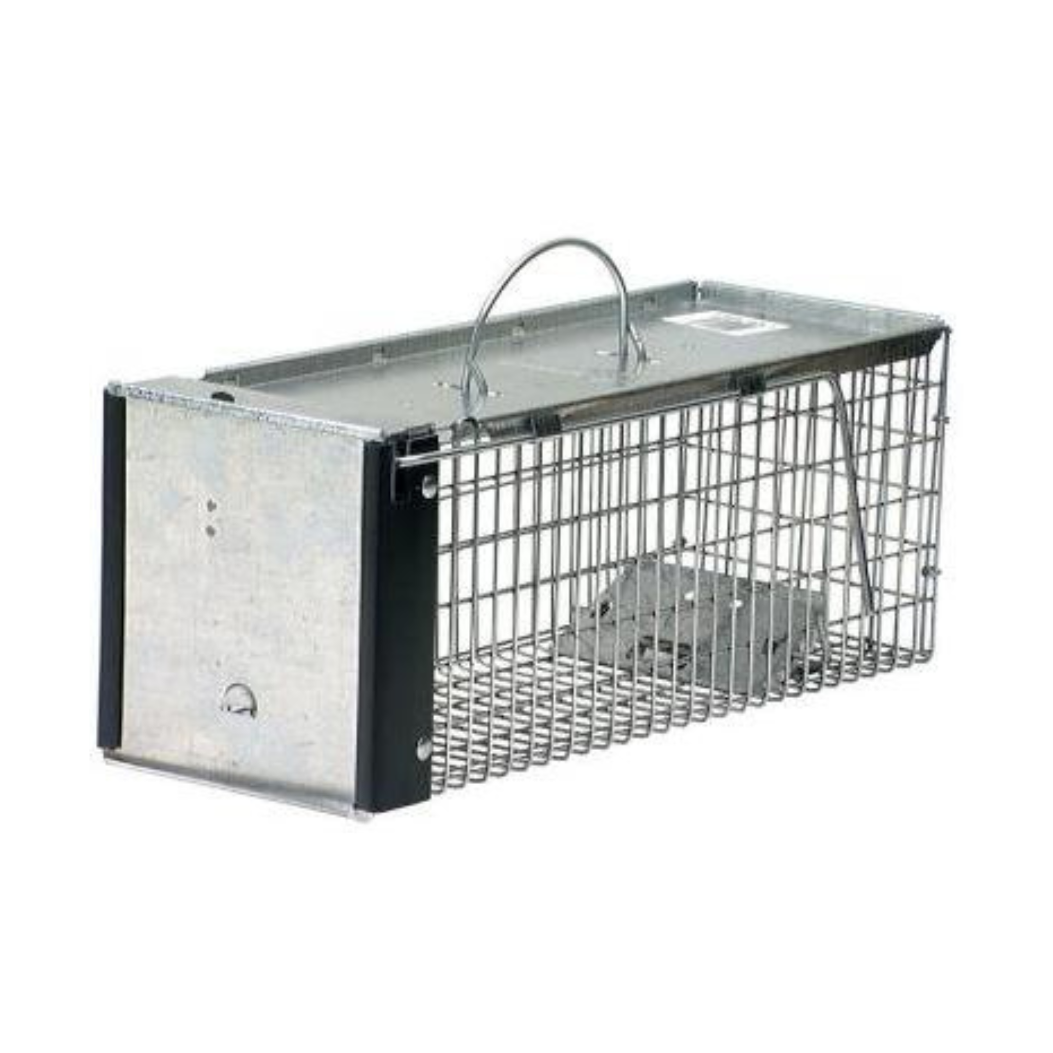 Single Door Cage / Live Trap – Pittsboro Feed