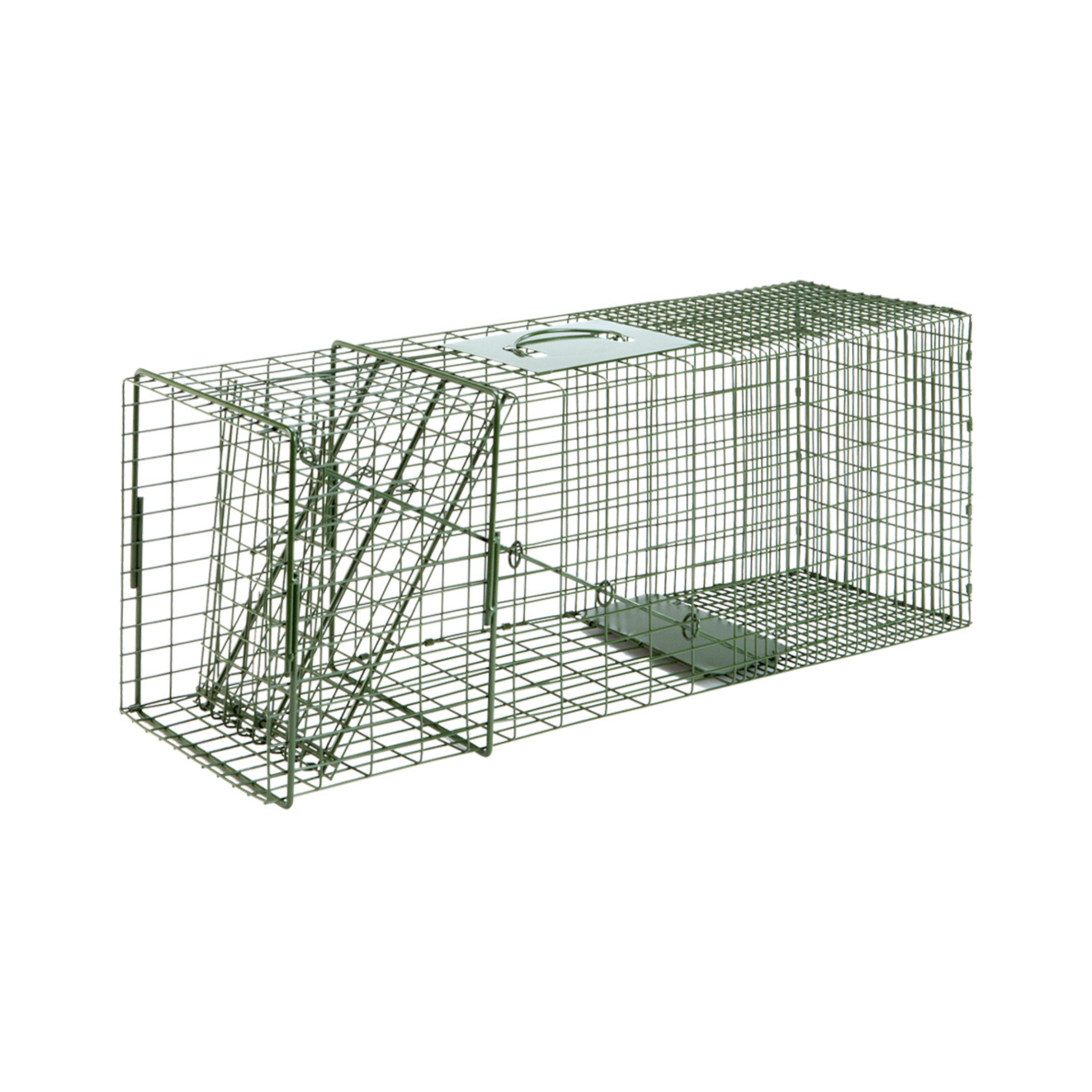 Single Door Cage / Live Trap – Pittsboro Feed