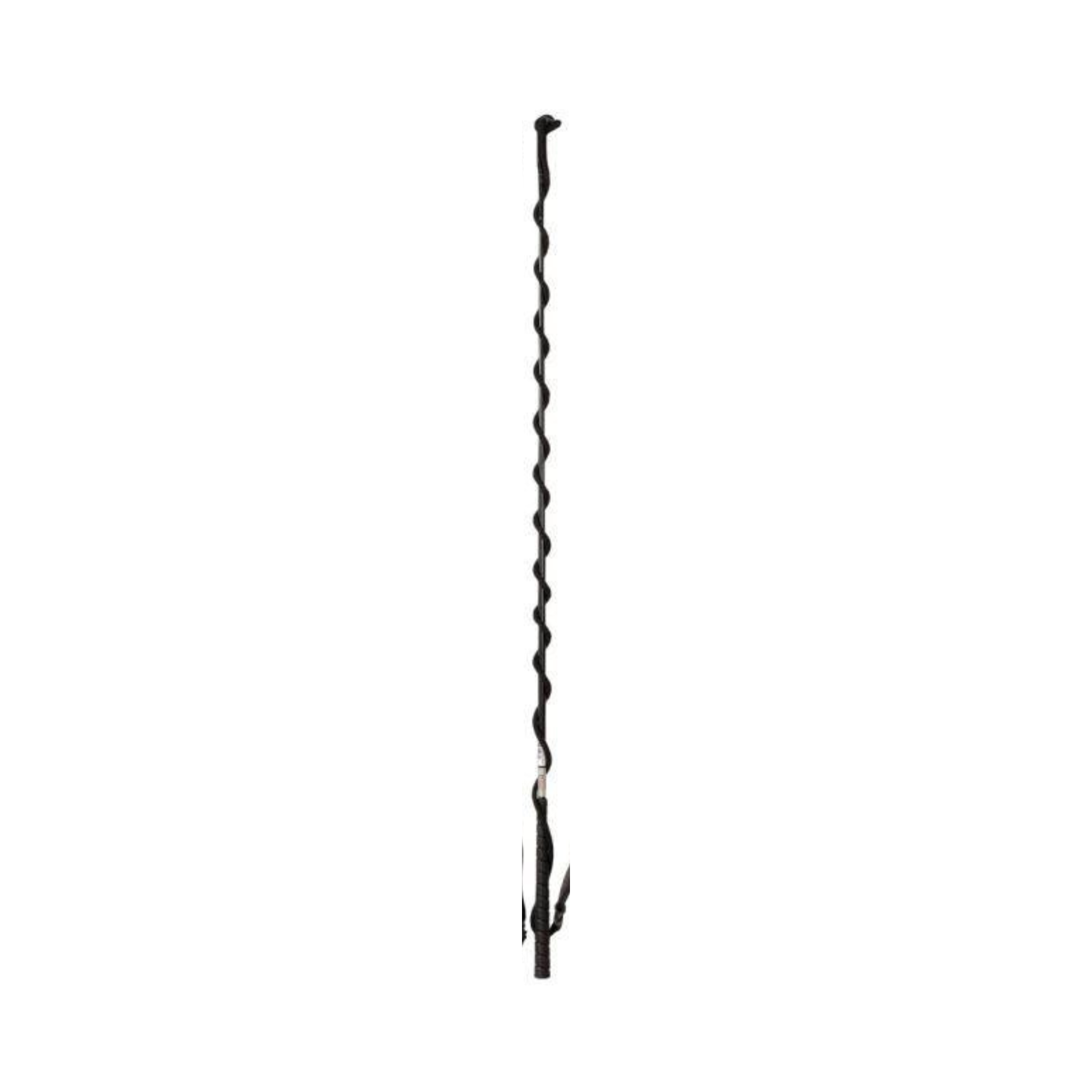 3' Youth Training Whip with 4 1/2" Lash