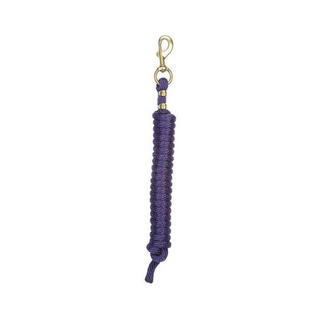 Poly Lead Rope With A Solid Brass 225 Snap