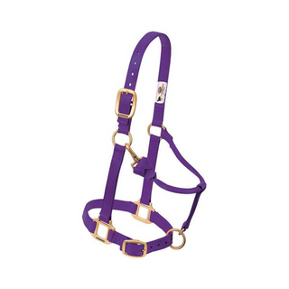 Adjustable Chin & Throat Snap Horse Halter 1"