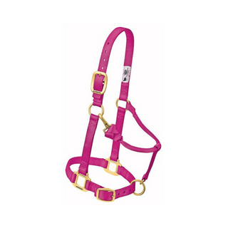 Adjustable Chin & Throat Snap Horse Halter 1"