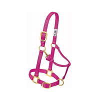 Adjustable Chin & Throat Snap Horse Halter 3/4"