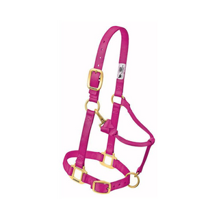 Adjustable Chin & Throat Snap Horse Halter 3/4" - Pittsboro Feed