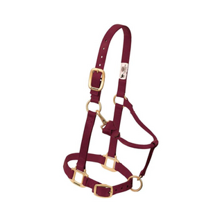 Adjustable Chin & Throat Snap Horse Halter 1" - Pittsboro Feed