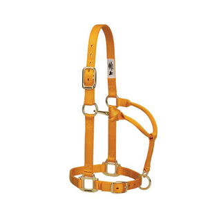 Adjustable Chin & Throat Snap Horse Halter 1" - Pittsboro Feed