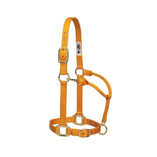 Adjustable Chin & Throat Snap Horse Halter 1"