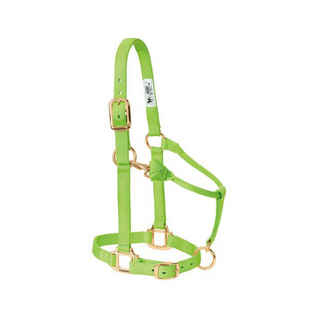 Adjustable Chin & Throat Snap Horse Halter 3/4"