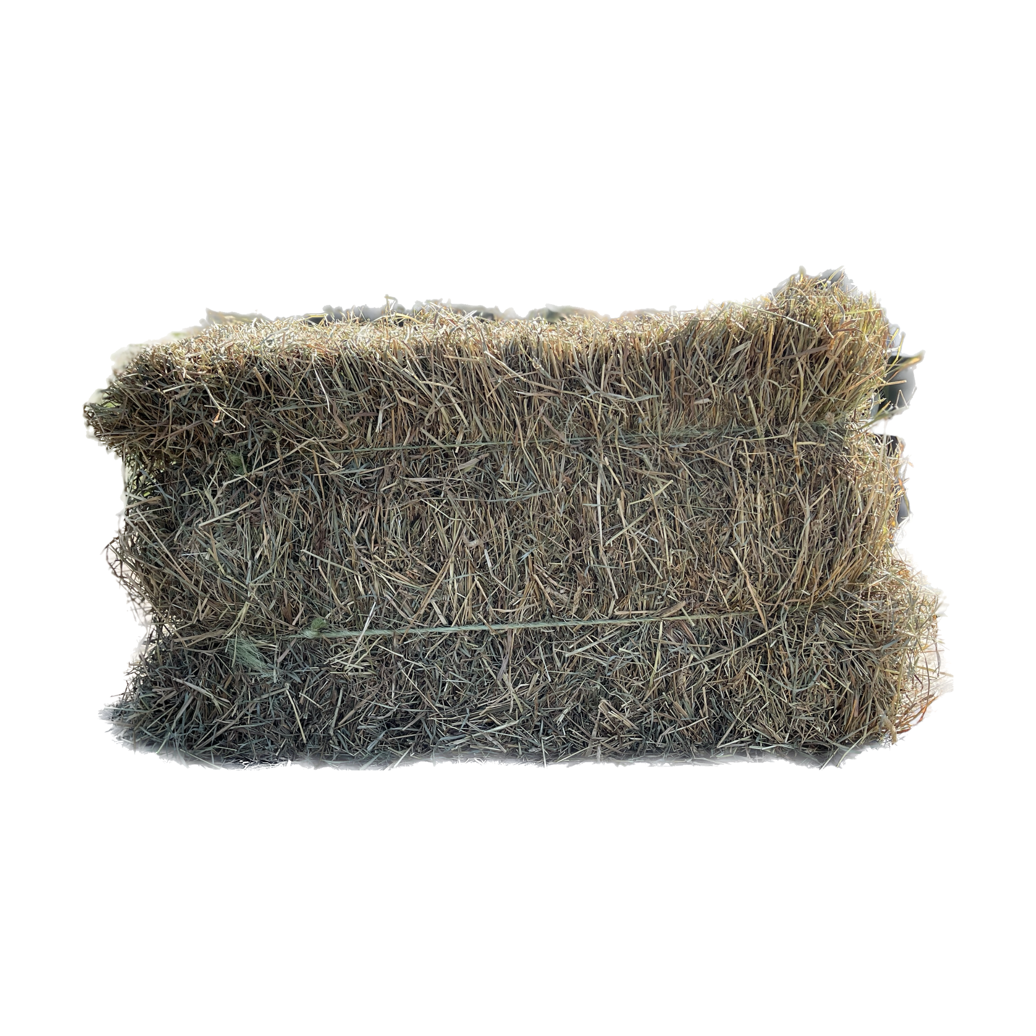 Timothy Grass Mix Standard Hay Bale Forage