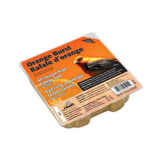 Heath Orange Burst Suet Cake - Pittsboro Feed