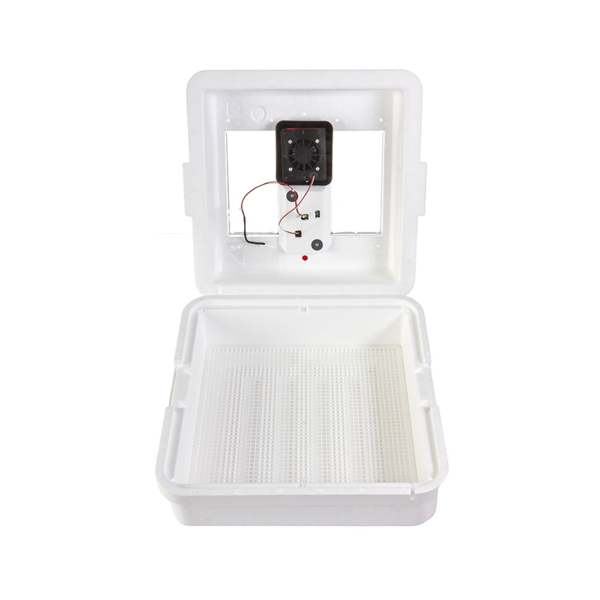 Circulated Air Poultry Incubator