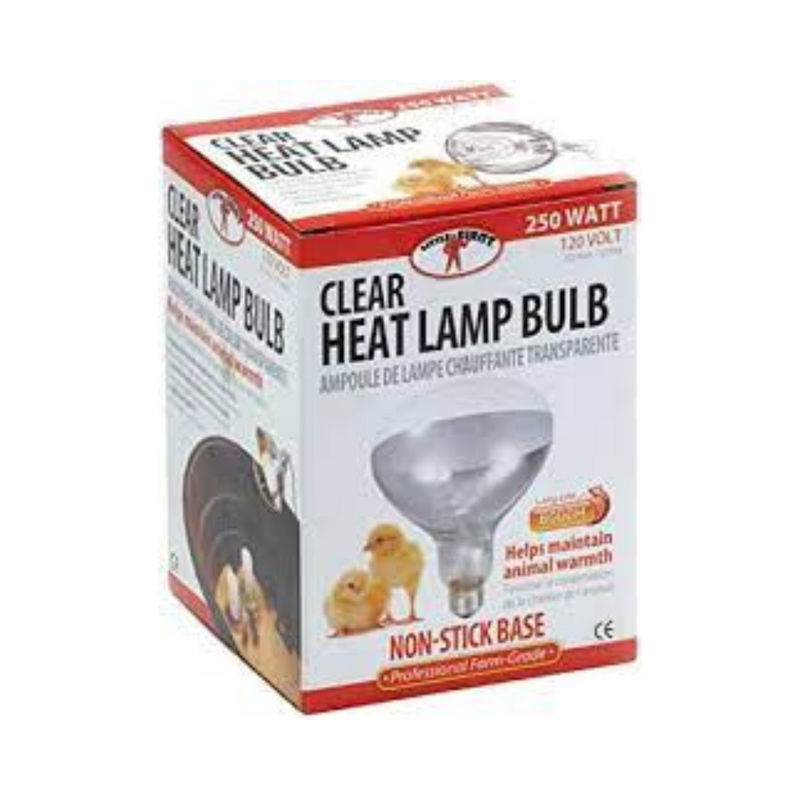 Brooder Heat Clear Lamp Bulb 250 Watt
