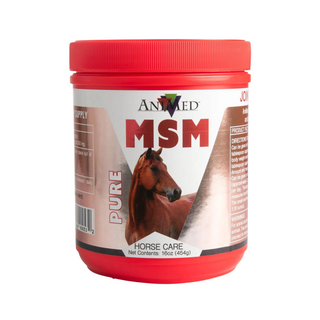 AniMed Pure MSM Horse Supplement