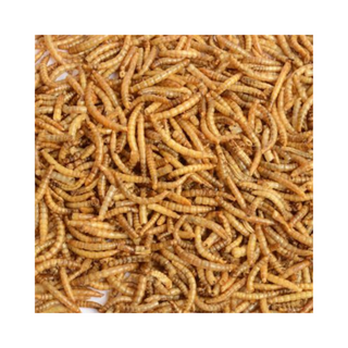 Dried Mealworms Treats - Pittsboro Feed