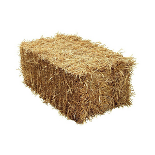 Wheat Straw Bale