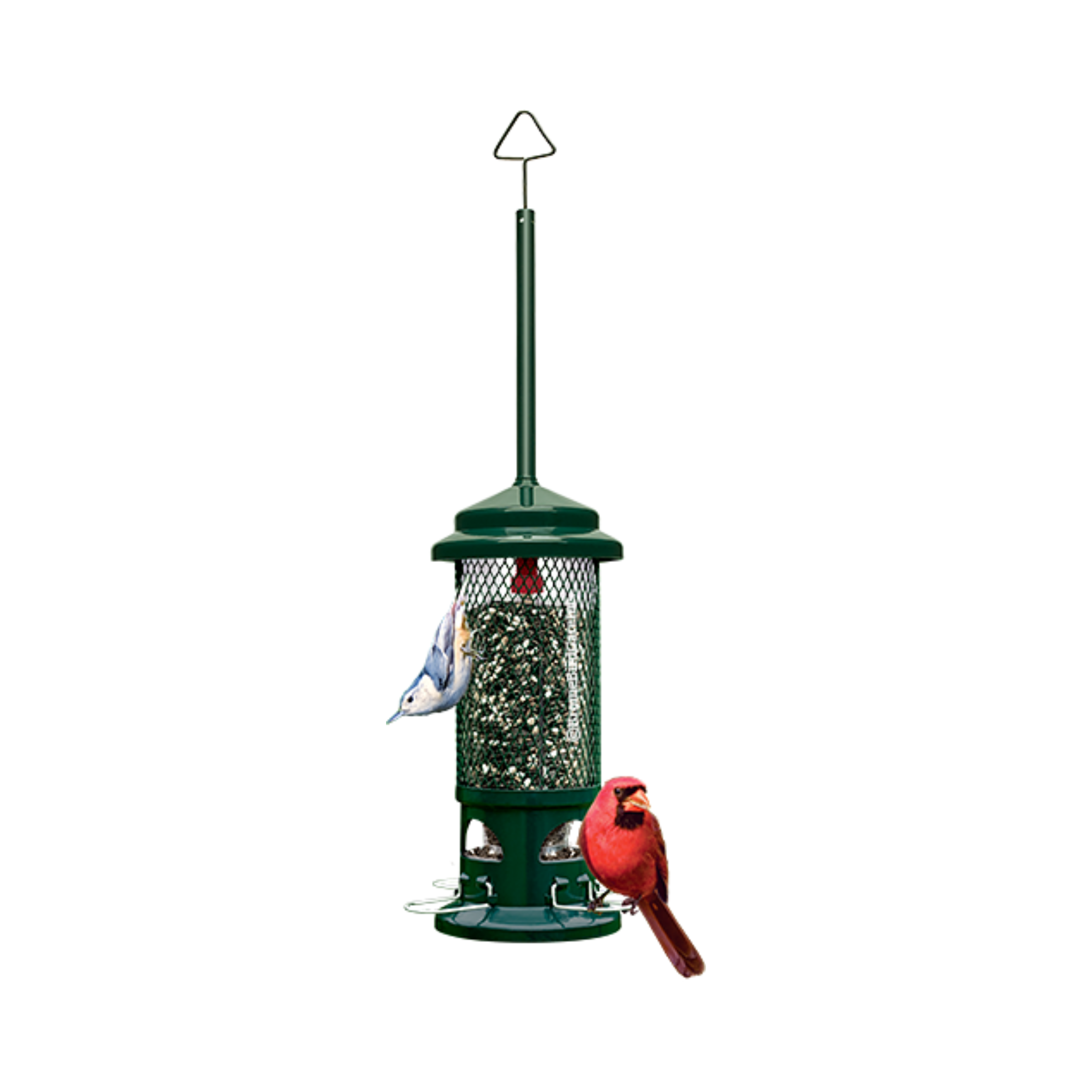 Squirrel Buster Feeder