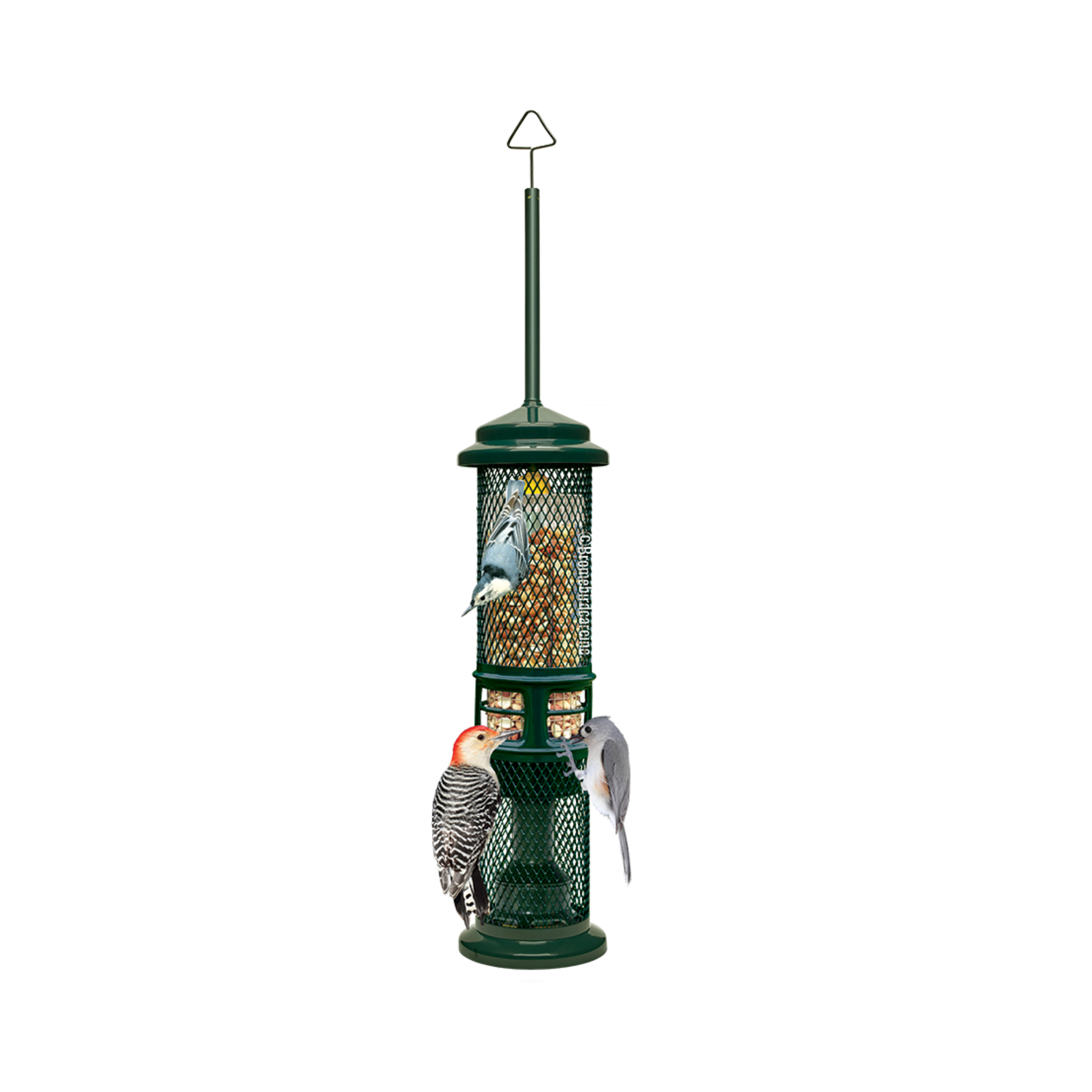 Squirrel Buster Nut Feeder