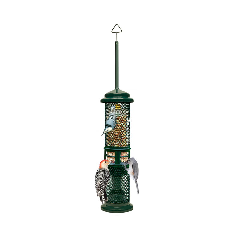 Squirrel Buster Nut Feeder