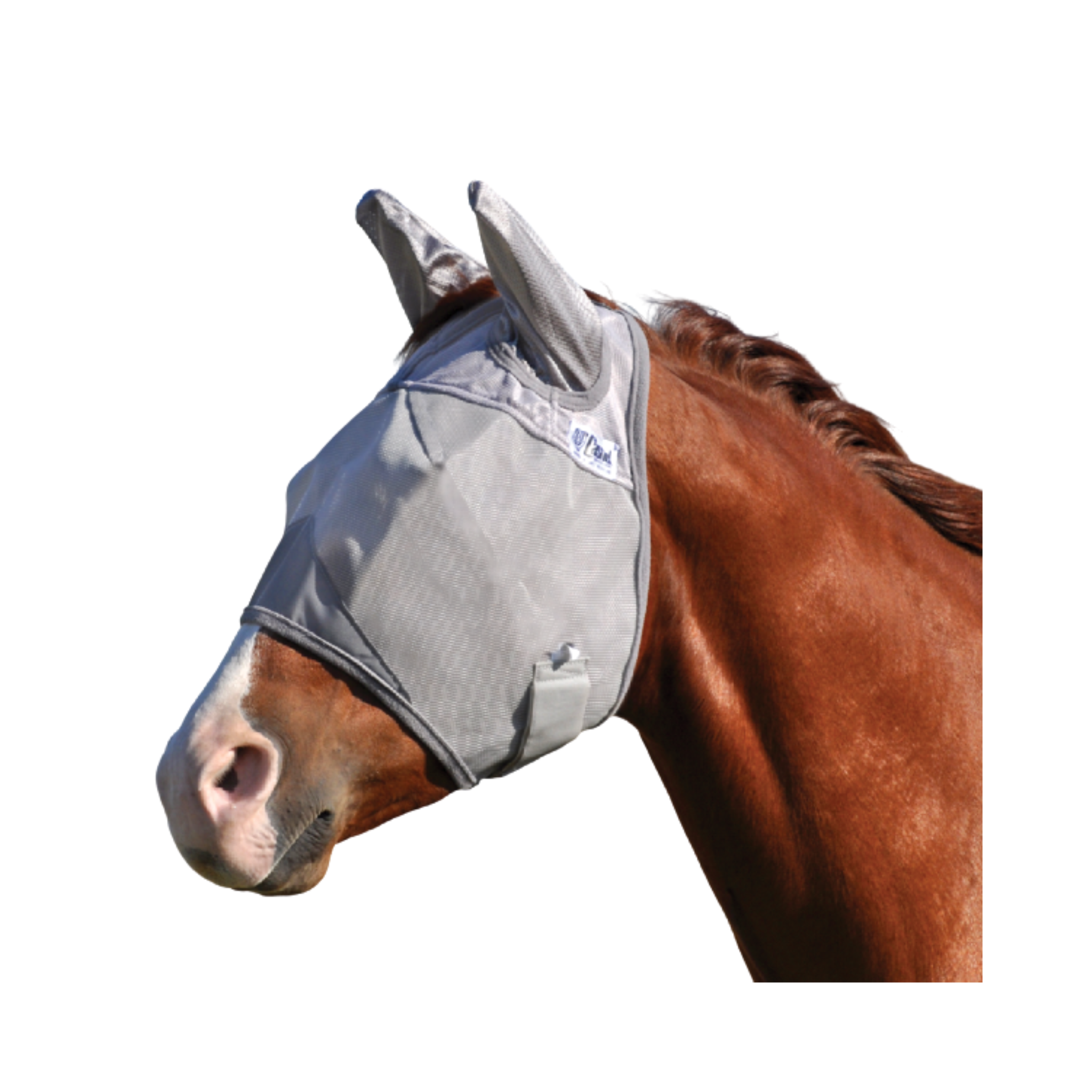 Cashel Crusader with Ears Fly Mask