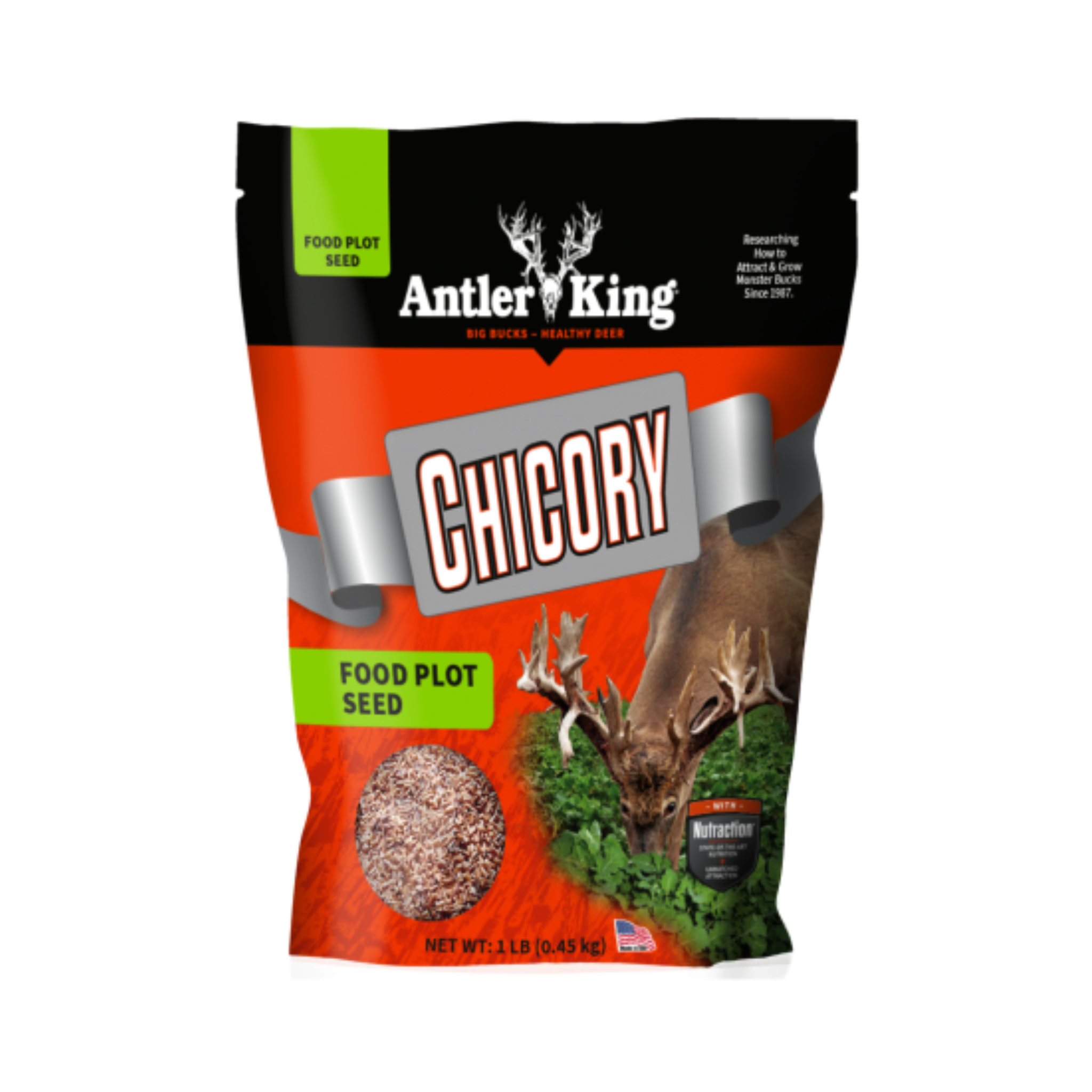 Antler King Chicory Deer Food Plot