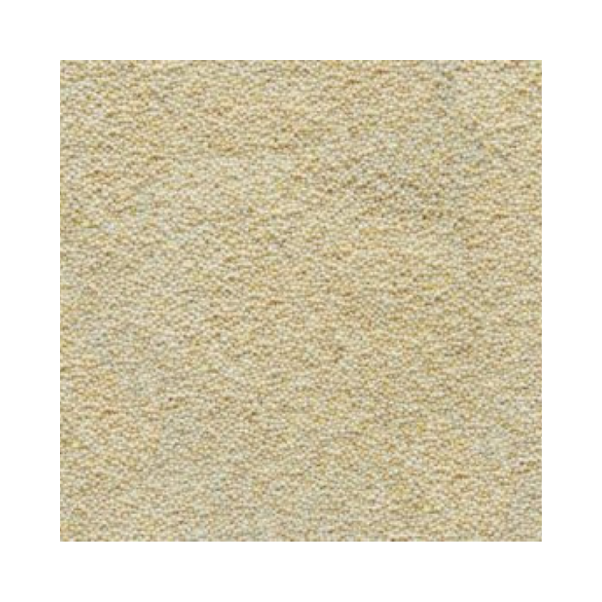 White Millet Seed
